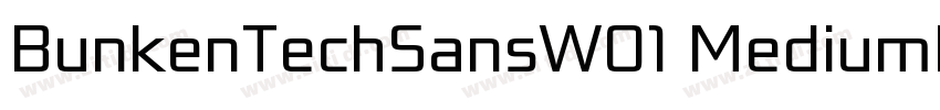 BunkenTechSansW01 MediumIt字体转换 BunkenTechSansW01 MediumIt字体转换